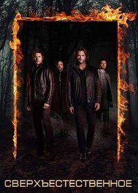 Сверхъестественное (1-15 сезон)