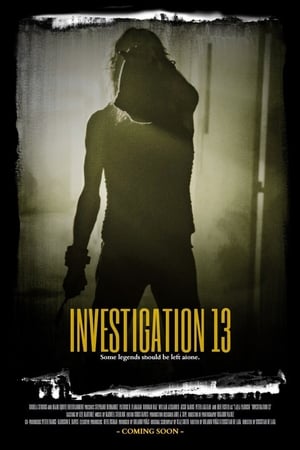 Расследование 13 (2019)