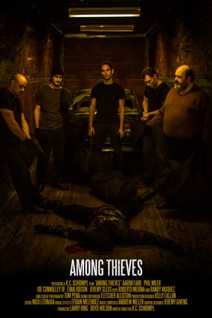 Среди грабителей (2019)