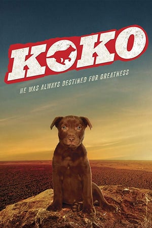 Коко: История Рыжего Пса (2019)